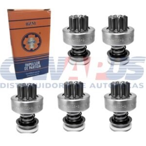 bzm 0105 p.jpg