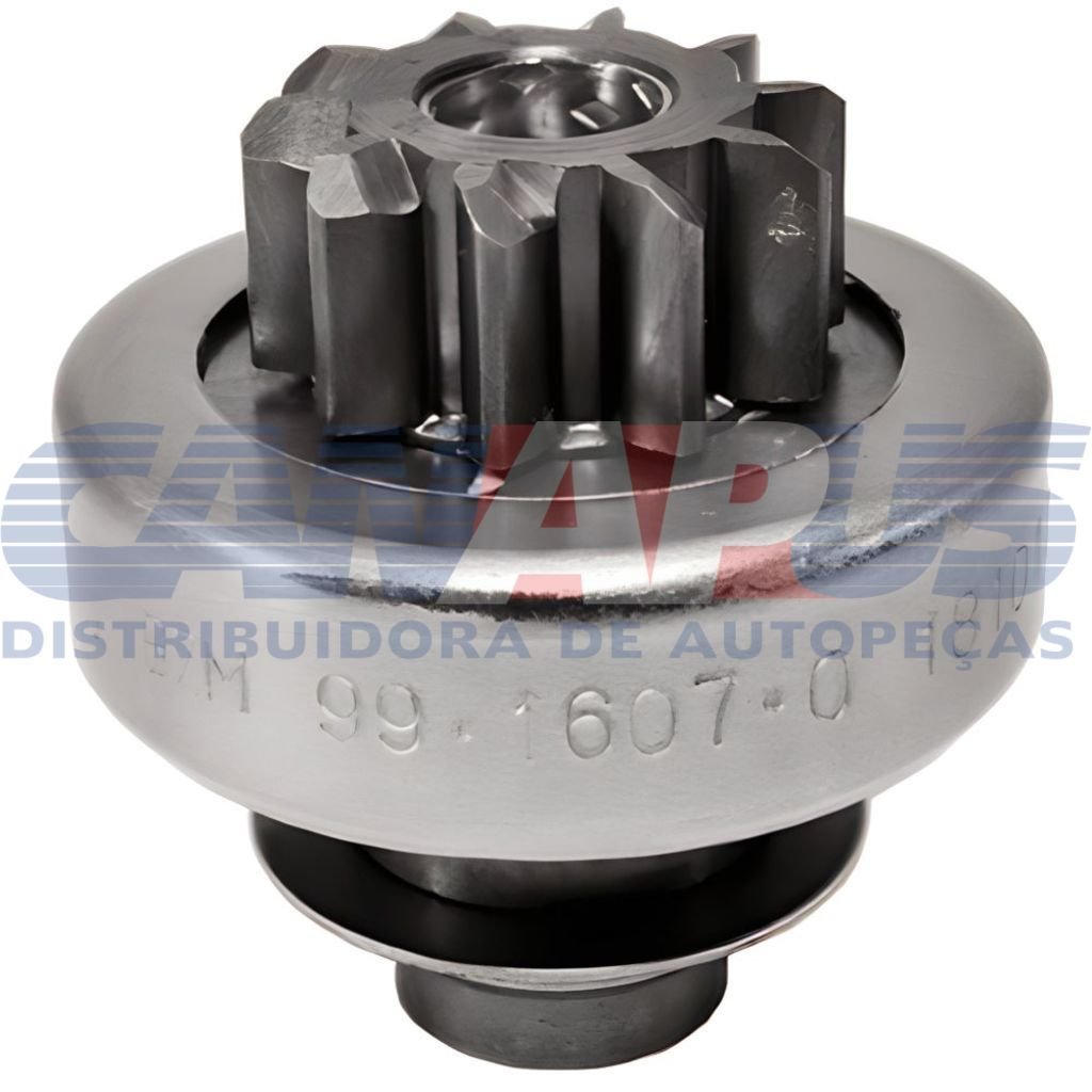 bzm 1607.jpg bzm 1607.jpg