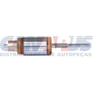 dita 20902.jpg