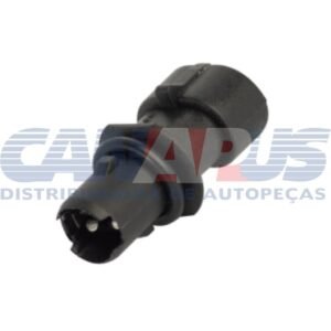 dp 3125.jpg