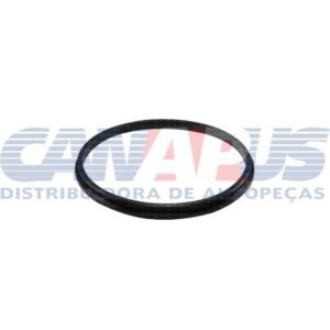 ds 1461.jpg