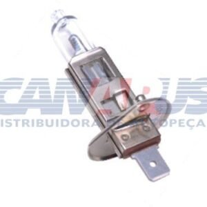 h124v.jpg