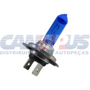 h7 sb 12v.jpg