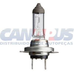 he h7 24v.jpg