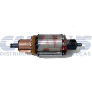 zwf 914010.jpg