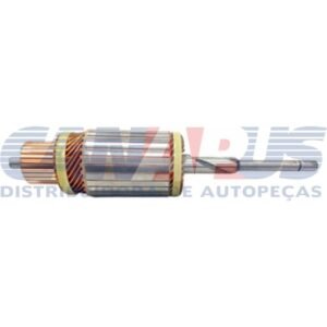 zwf 914100.jpg