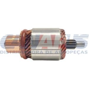 zwf 914159.jpg